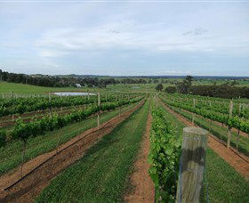 Razorback Ridge Wines - Accommodation Gold Coast 1