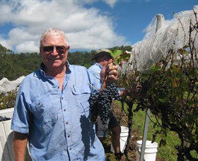 Razorback Ridge Wines - Accommodation Gold Coast 8