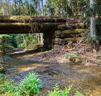 Myrtle Scrub scenic drive - Accommodation Gold Coast