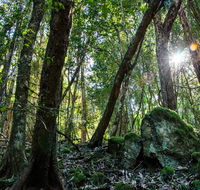 Copeland Tops State Conservation Area - Accommodation Gold Coast