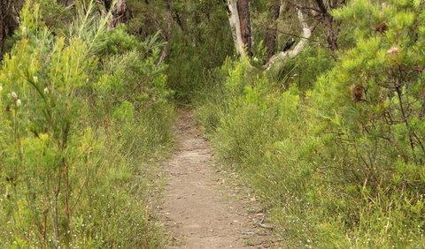 Three Views Walking Track - Accommodation Gold Coast 0