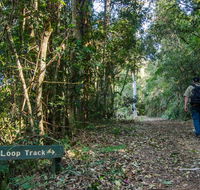 Basin Loop track - Accommodation Gold Coast