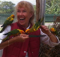 Maleny Botanic Gardens  Bird World - 1 Gold Coast