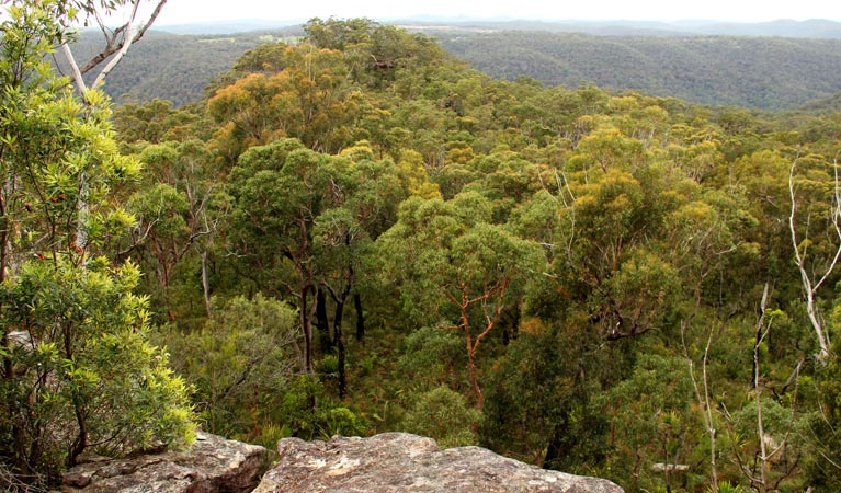 Mangrove Mountain NSW Accommodation Gold Coast