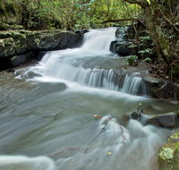 Jerusalem Creek trail