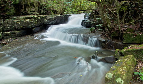 Jerusalem Creek Trail - Gold Coast 4U 0