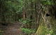 Jerusalem Creek Trail - thumb 1