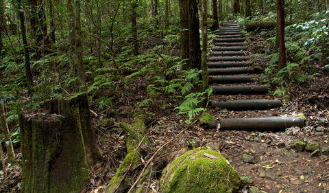 Jerusalem Creek Trail - Gold Coast 4U 2