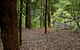Jerusalem Creek Trail - thumb 3