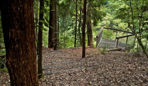 Jerusalem Creek Trail - Gold Coast 4U 3