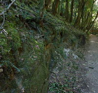 Hidden Treasure track - Accommodation Gold Coast
