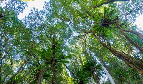 Hidden Treasure Track - 1 Gold Coast 2