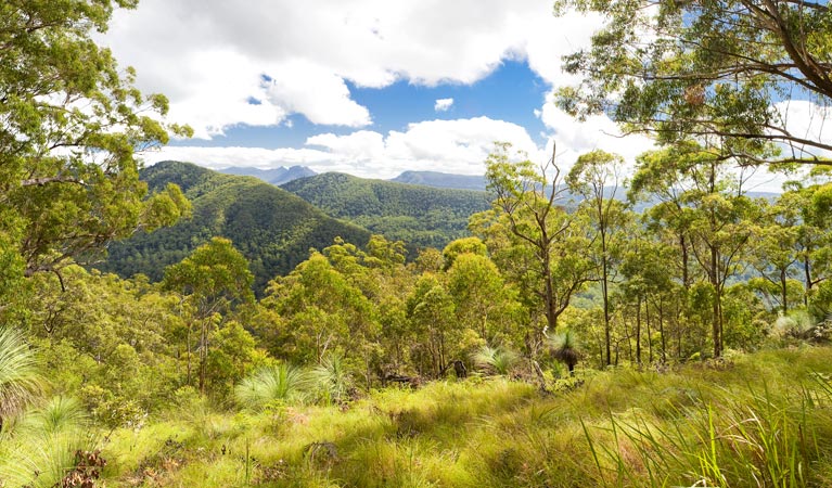Afterlee NSW Accommodation Gold Coast