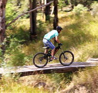 The Steps Mountain Bike Park - Accommodation Gold Coast