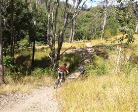 The Steps Mountain Bike Park - 1 Gold Coast 2