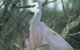 Jack Smith Lake State Game Reserve - thumb 0