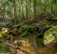 Palm Grove Nature Reserve - Accommodation Gold Coast