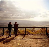 Heaton State Forest - Watagan Mountains - 1 Gold Coast