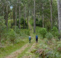 The Green Gully track - Accommodation Gold Coast