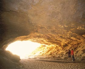 Stockyard Gully National Park - Accommodation Gold Coast 1