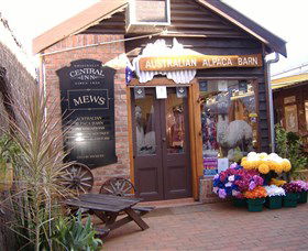 Australian Alpaca Barn - Morpeth - 1 Gold Coast 0