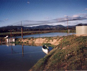 Trudgalong Farm - 1 Gold Coast 1