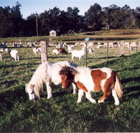 Trudgalong Farm - Accommodation Gold Coast