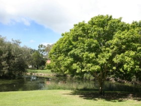 Hervey Bay Botanic Gardens - Accommodation Gold Coast 0