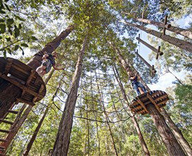 TreeTop Adventure Park Central Coast - Accommodation Gold Coast 0