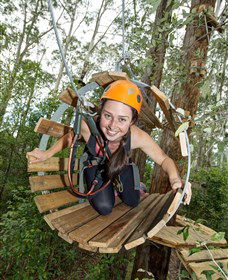 TreeTop Adventure Park Central Coast - Accommodation Gold Coast 3