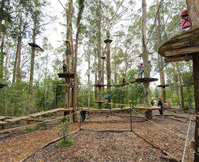 TreeTop Adventure Park Central Coast - Accommodation Gold Coast 5
