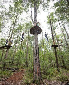 TreeTop Adventure Park Central Coast - Accommodation Gold Coast 4