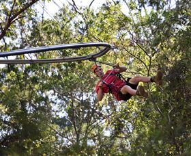 TreeTops Crazy Rider - Accommodation Gold Coast 1