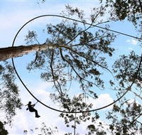 TreeTops Crazy Rider - Accommodation Gold Coast