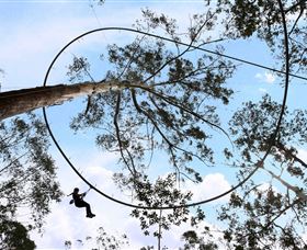 TreeTops Crazy Rider - Accommodation Gold Coast 0
