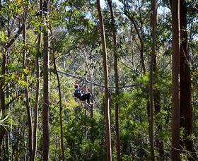 TreeTops Crazy Rider - Accommodation Gold Coast 3