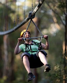 TreeTops Crazy Rider - Accommodation Gold Coast 2