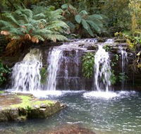 Barrington Tops National Park Walks - Accommodation Gold Coast