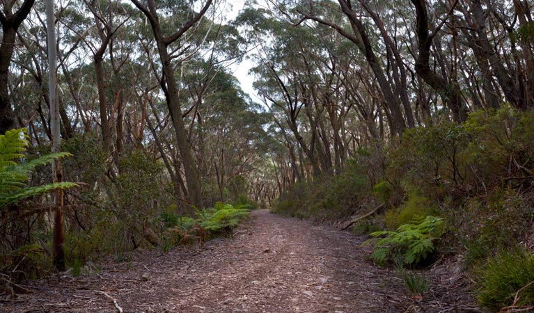 Yadboro NSW 1 Gold Coast