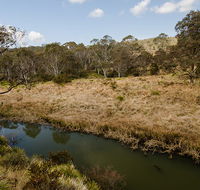 Werrikimbe National Park - Accommodation Gold Coast