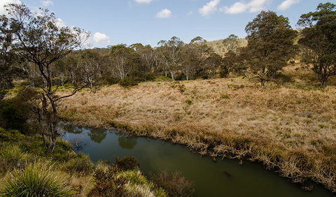Werrikimbe National Park - Accommodation Gold Coast 0