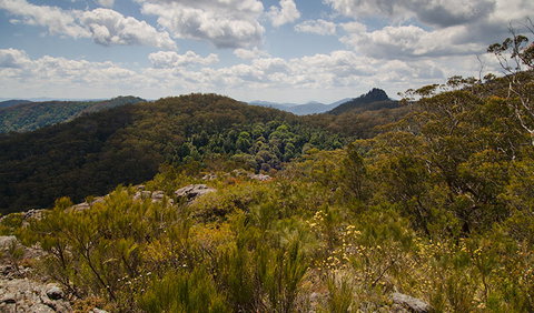 Werrikimbe National Park - Accommodation Gold Coast 1