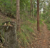 Border loop walk - Accommodation Gold Coast