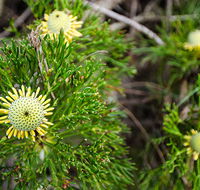 Illawarra lookout walking track - Accommodation Gold Coast