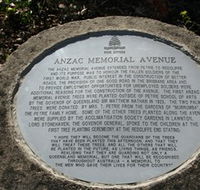 Anzac Memorial Avenue Redcliffe - Accommodation Gold Coast