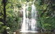 Budderoo National Park - The Falls Walk - thumb 0