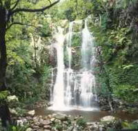 Budderoo National Park - The Falls Walk - Accommodation Gold Coast