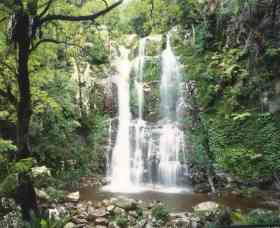 Budderoo National Park - The Falls Walk - Accommodation Gold Coast 0