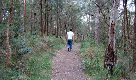 Lake Macquarie State Conservation Area - Accommodation Gold Coast 3