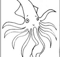 Squid Studio - Accommodation Gold Coast